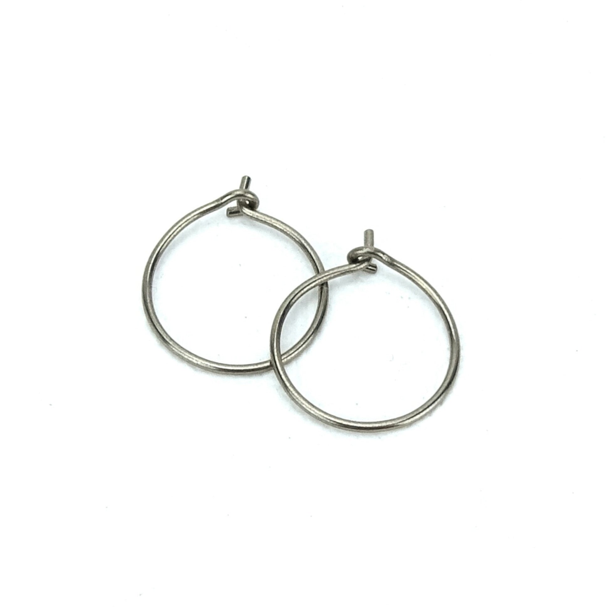 Niobium Hoop Earrings Small Nonita Jewelry