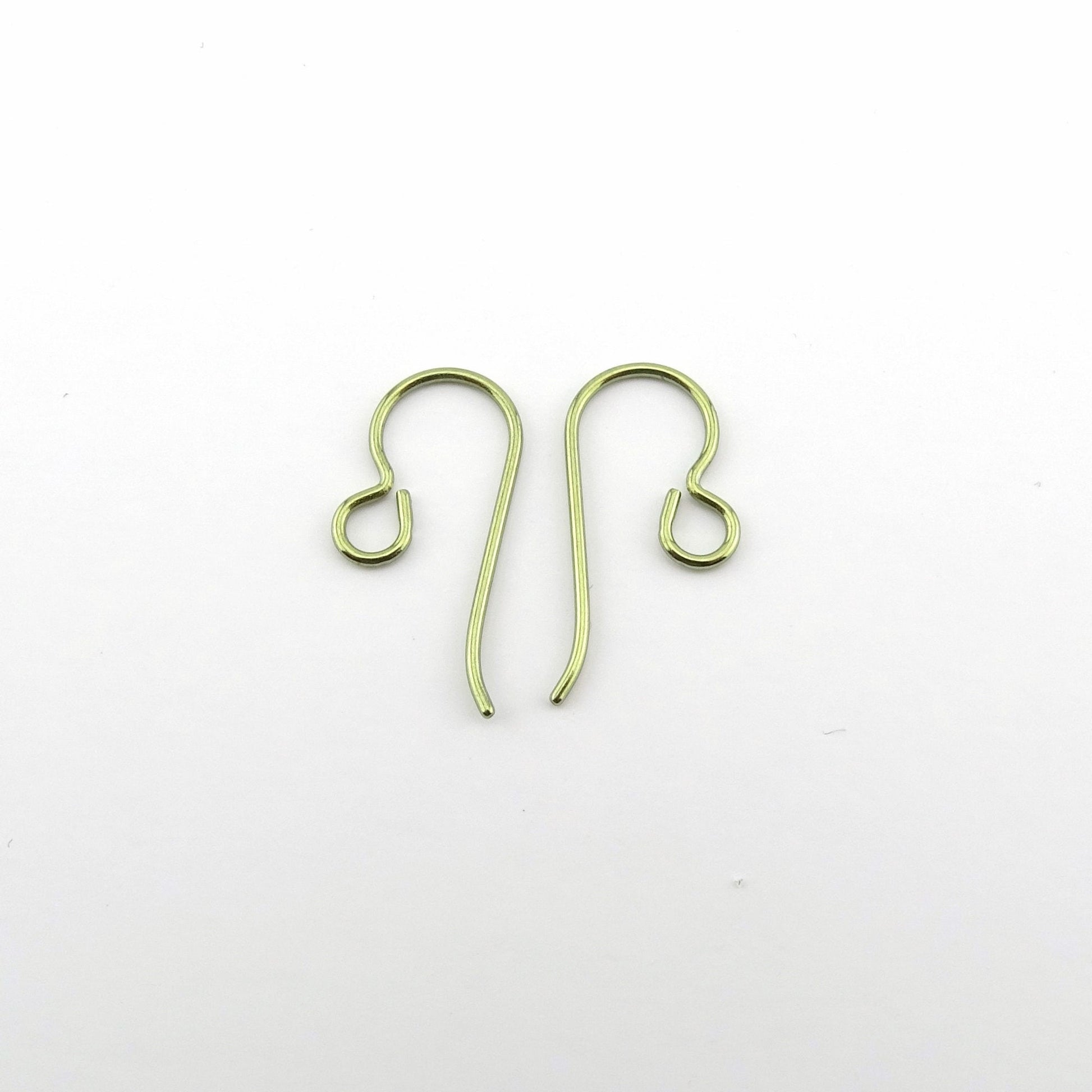 UNICRAFTALE 500pcs Titanium Steel Earring Hooks Metal Ear Wire with Coil  for Jewelry Making 16x27x0.8mm, Hole 2mm 
