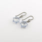 Blue Shade Edelweiss Titanium Earrings, Pale Blue Swarovski Crystal Niobium Earrings, Hypoallergenic Nickel Free Earrings for Sensitive Ears
