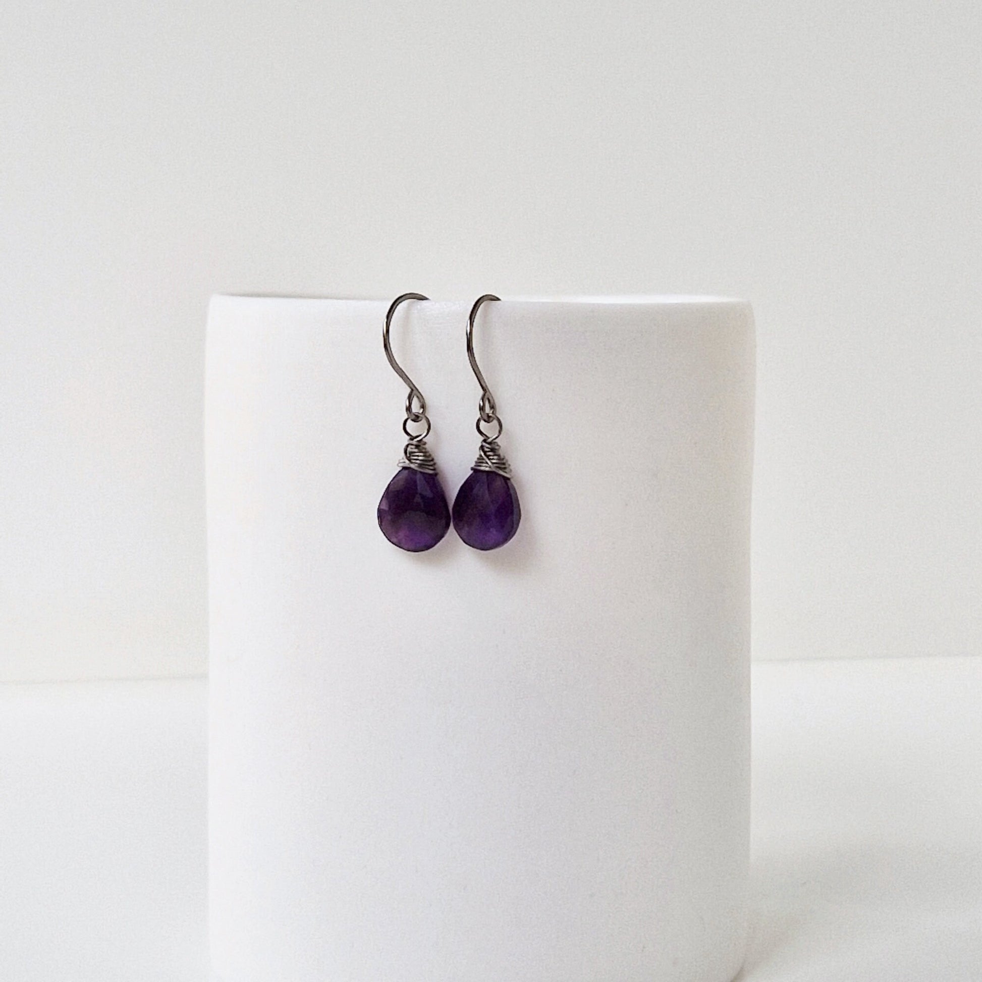 Amethyst Titanium Earrings