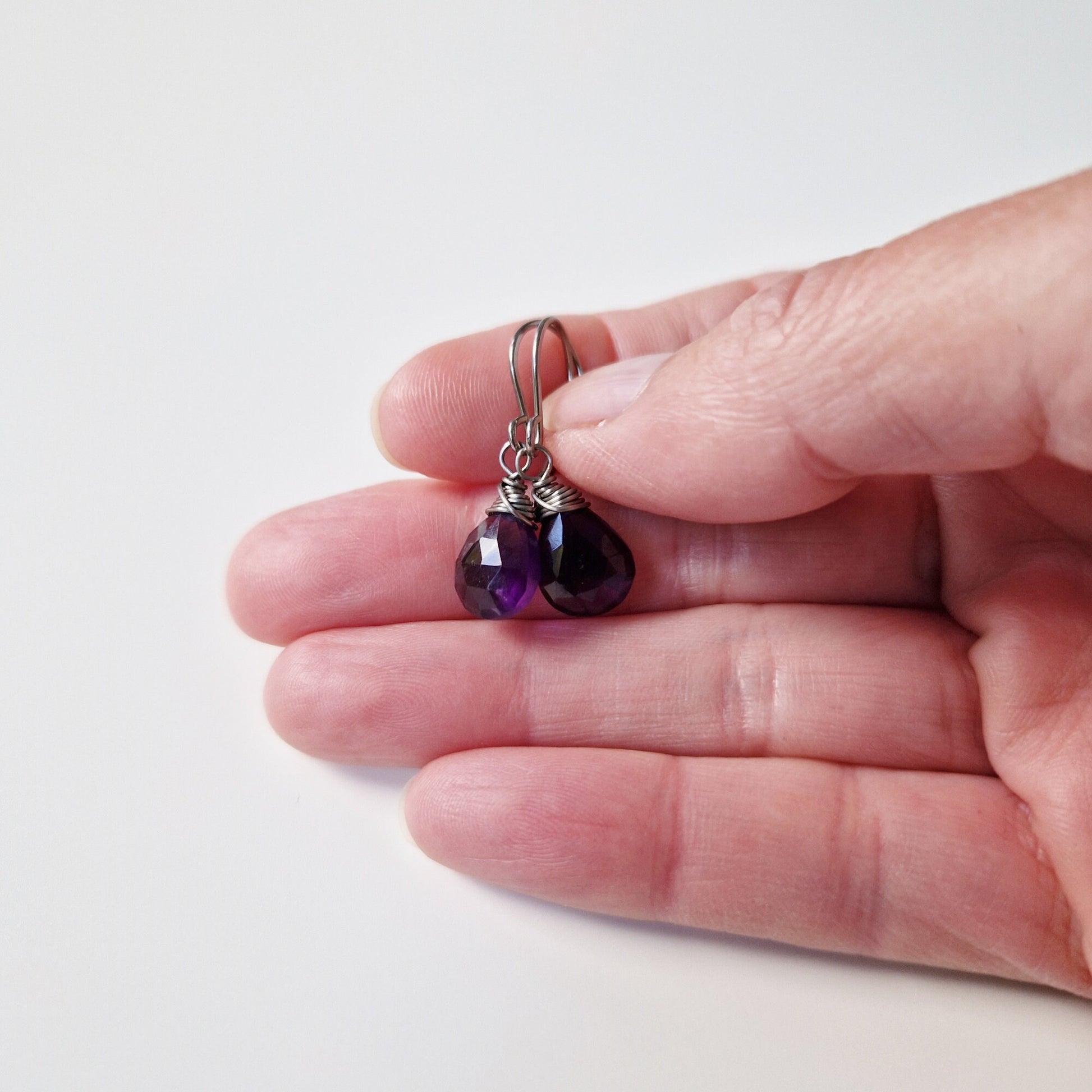 Amethyst Titanium Earrings