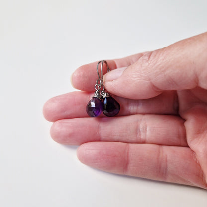 Amethyst Titanium Earrings