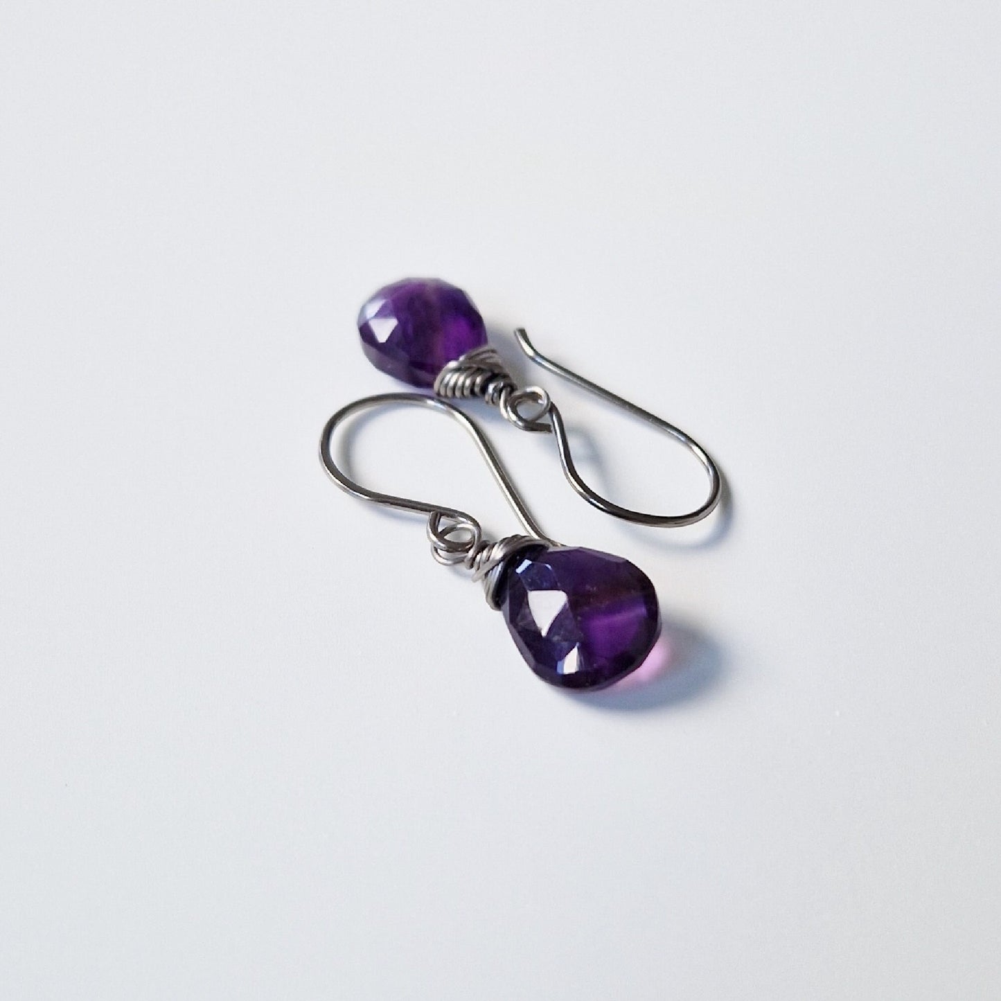 Amethyst Titanium Earrings