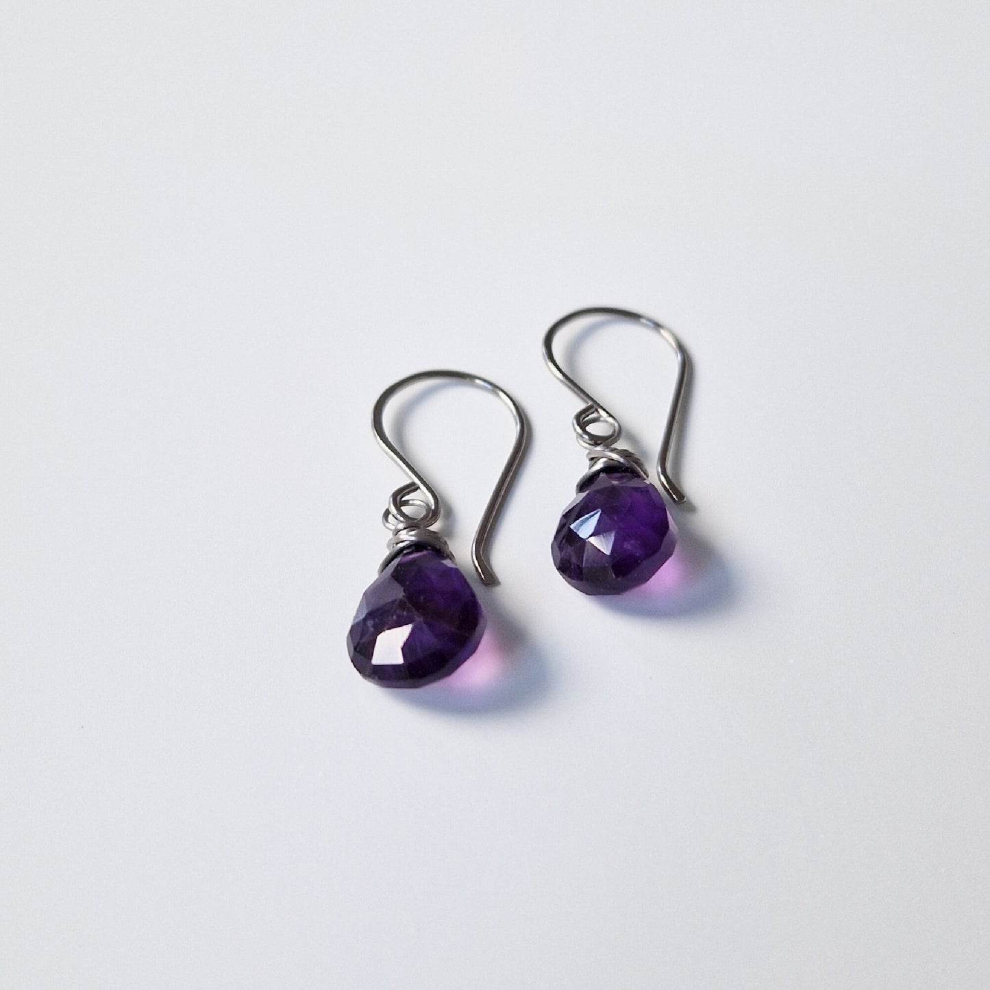 Amethyst Titanium Earrings