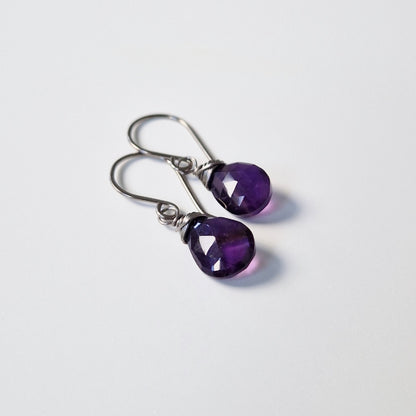 Amethyst Titanium Earrings