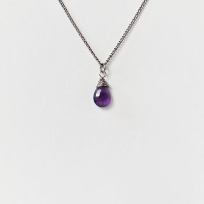 Amethyst Titanium Necklace