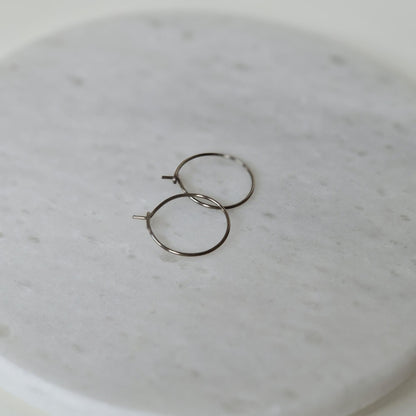 Small Titanium Hoop Earrings, 0.75 Inch Hoops, Nickel Free Silver Color Hoops, Hypoallergenic Earrings for Sensitive Ears