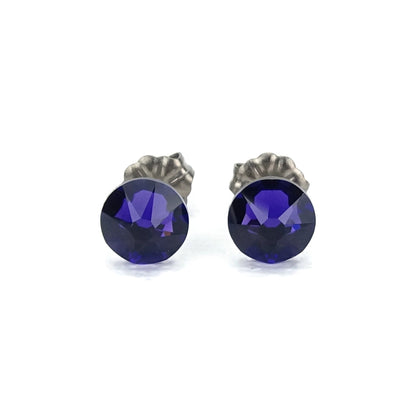 Purple Velvet Titanium Studs